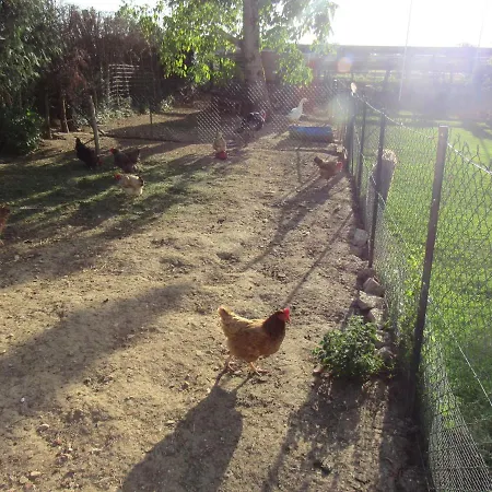 La Carabol Der Lejlighed *